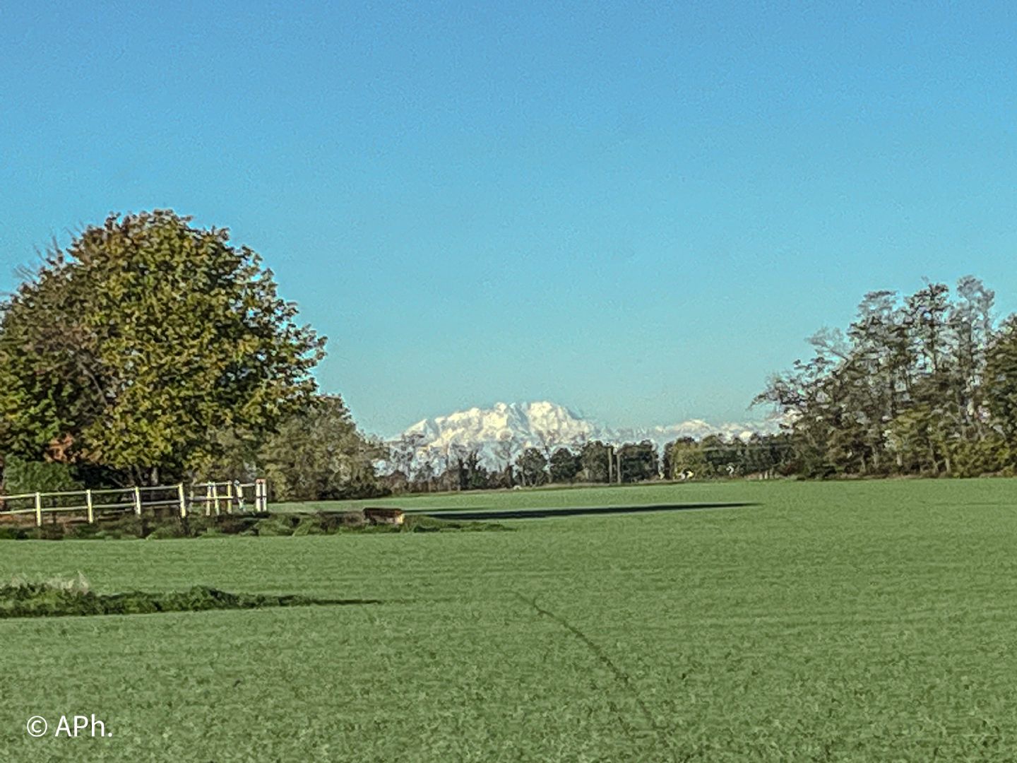 monte rosa